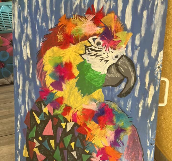 Exotic Zoo